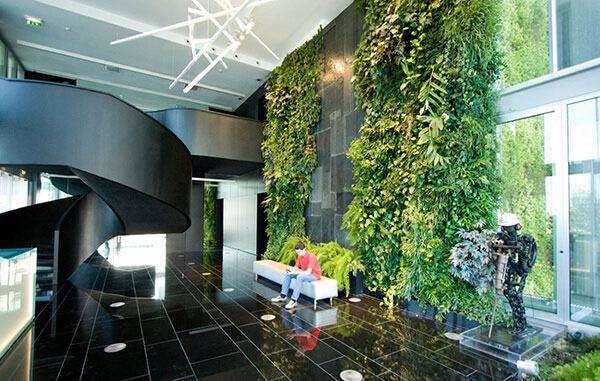 Thiết kế mô hình văn phòng xanh với cây cảnh
