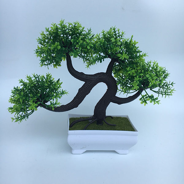 Cây bonsai để bàn làm việc tốt về mặt phong thủy